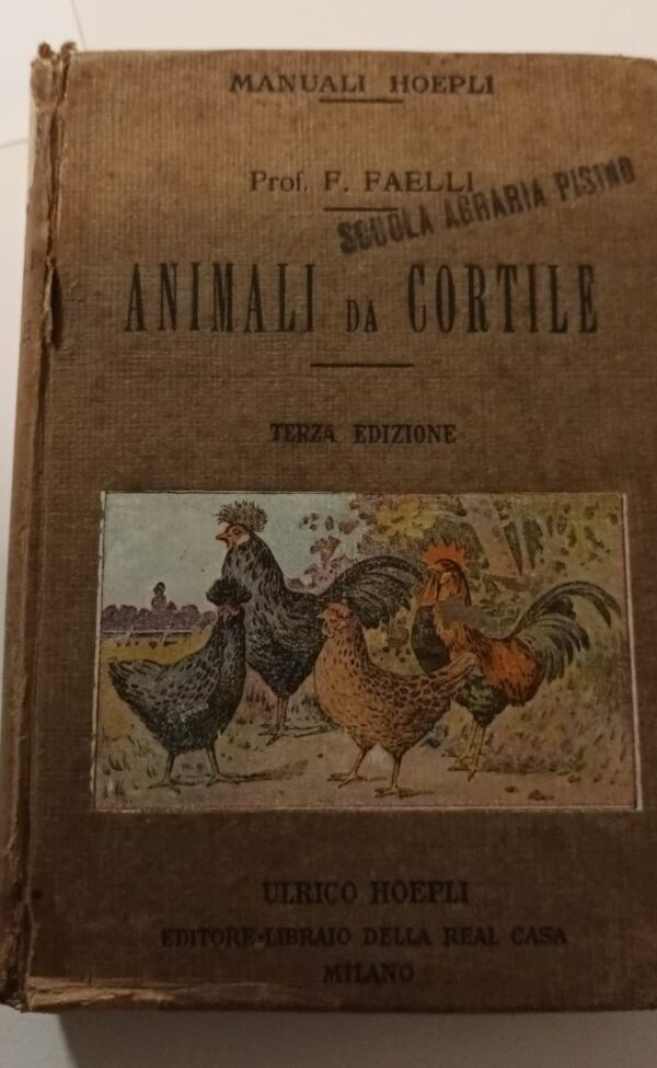 Animali Da Cortile - Ferruccio Faelli - Ed. Hoepli Milano 1923 - immagine 4