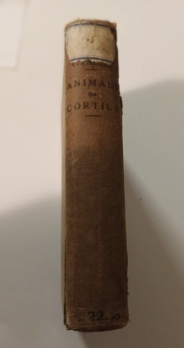 Animali Da Cortile - Ferruccio Faelli - Ed. Hoepli Milano 1923 - immagine 6