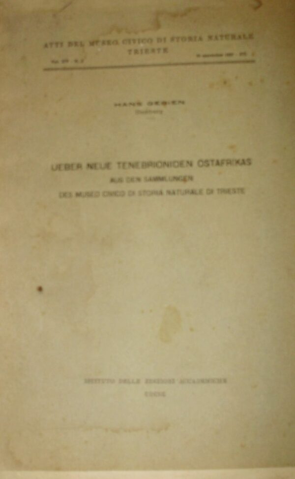 Über Neue Tenebrioniden Ostafrikas - Hans Gebien - Ed. Istituto Delle Edizioni Accademiche Udine 1937