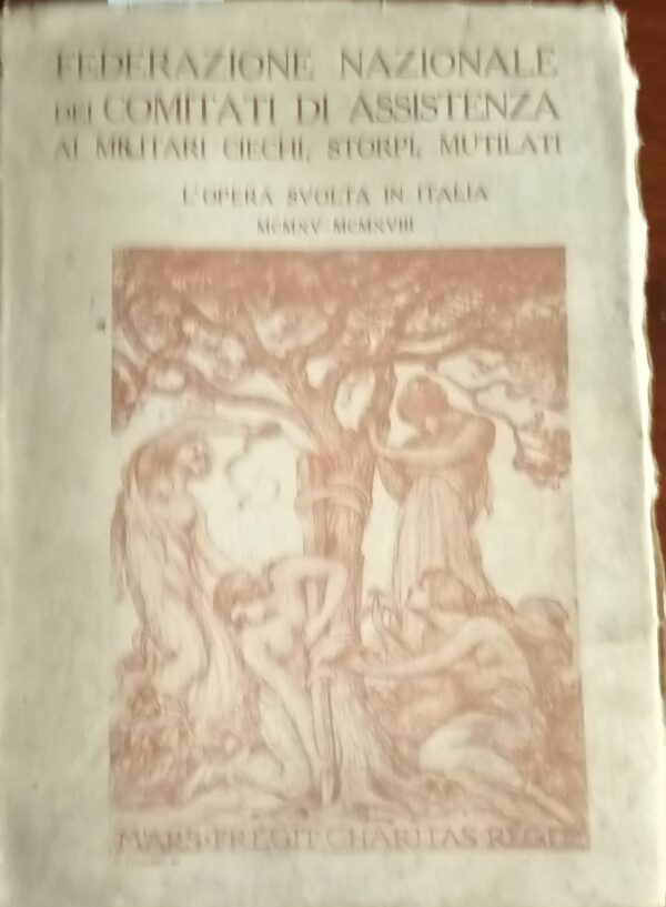 Federazione Nazionale Dei Comitati Di Assistenza Ai Militari Ciechi, Storpi, Mutilati. L'Opera Svolta In Italia 1915-1918 - Autori Vari - Ed. 1918