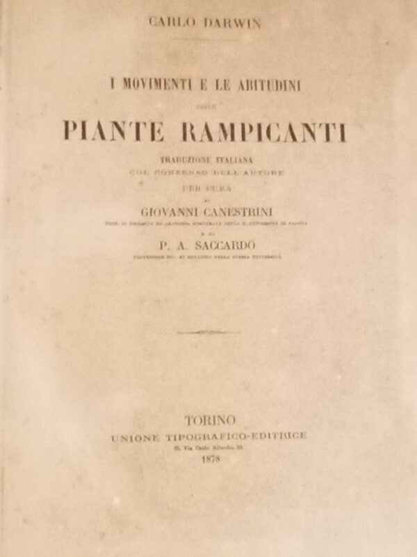 Movimenti E Le Abitudini Delle Piante Rampicanti - Carlo Darwin - Ed. UTET Unione Tipografico-Editrice Torinese Torino 1878