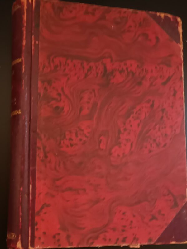 Movimenti E Le Abitudini Delle Piante Rampicanti - Carlo Darwin - Ed. UTET Unione Tipografico-Editrice Torinese Torino 1878 - immagine 2