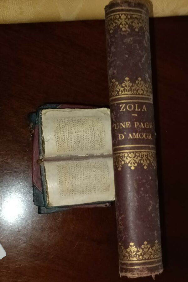 Une Page D'Amour - Émile Zola - Ed. Bibliotheque Charpentier Paris 1893