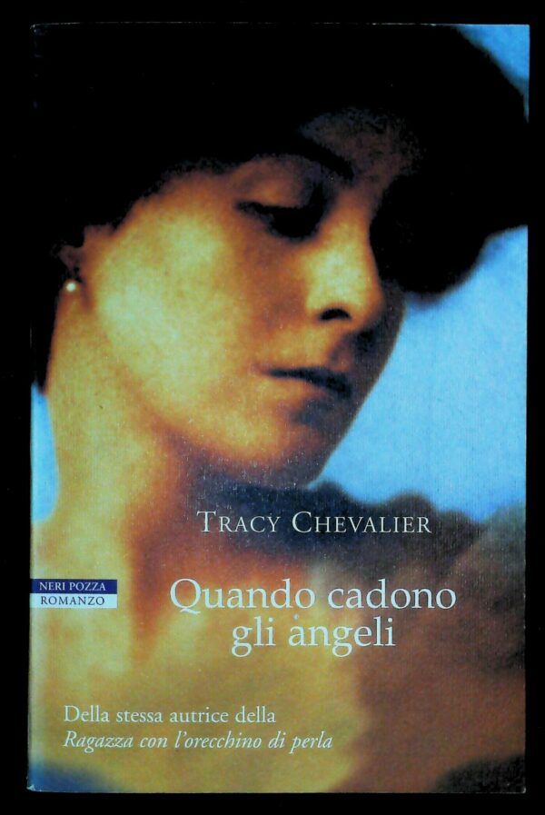 Quando Cadono Gli Angeli - Tracy Chevalier - Ed. Neri Pozza Vicenza 2002