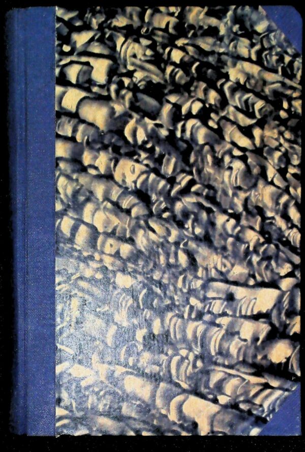 Saggi E Scritti Critici E Vari (Volume II) - Francesco De Sanctis - Ed. La Universale Barion Sesto S. Giovanni 1943 - immagine 2