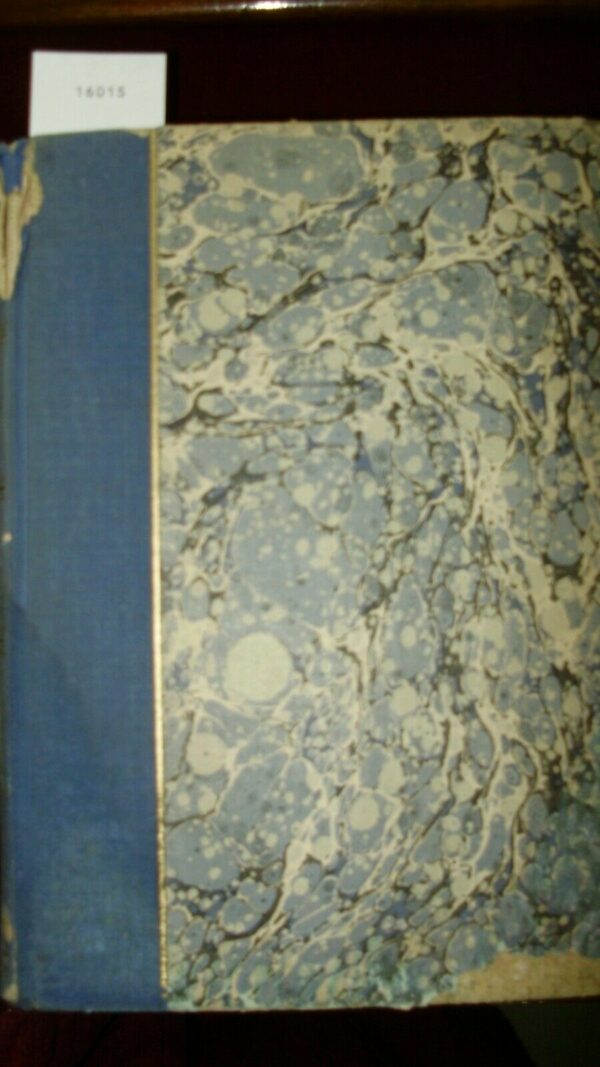 Conoscenza. Le Lettere - Autori Vari - Ed. Bianchi-Giovini 1942 - immagine 3